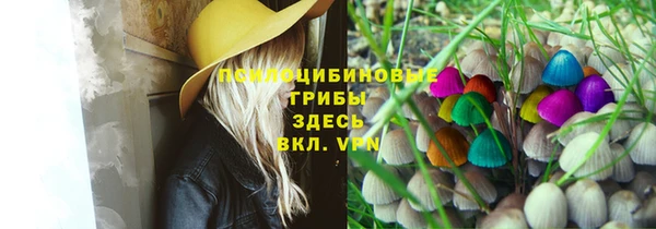 эйфоретик Алексеевка