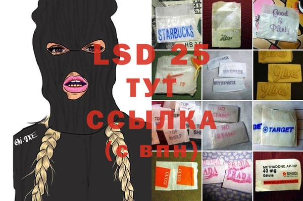 крисы Ростов