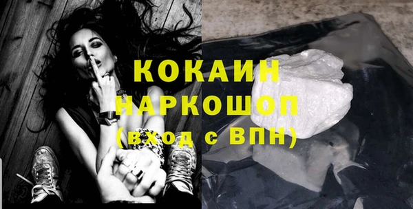 прущие грибы Алзамай