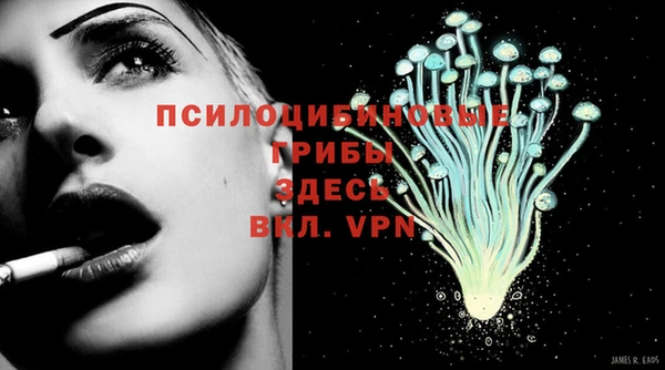 прущие грибы Алзамай