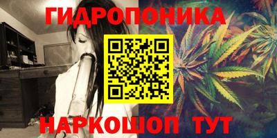 прущие грибы Кингисепп