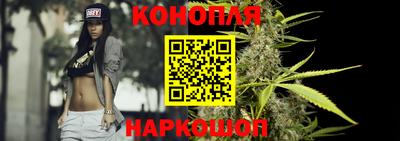 прущие грибы Кингисепп