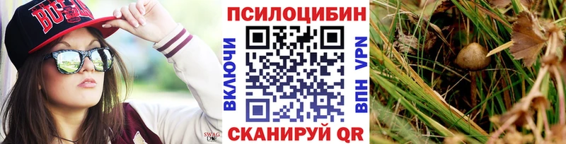 Псилоцибиновые грибы MAGIC MUSHROOMS  наркошоп  дарк нет телеграм  Нижнеудинск 