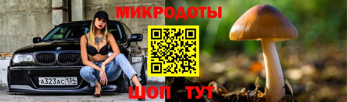 Псилоцибиновые грибы Magic Shrooms  Вход с VPN  Нижнеудинск  Псилоцибиновые грибы GOLDEN TEACHER 
